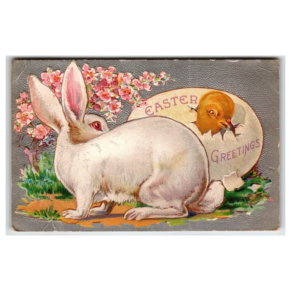 Vintage Embossed Easter Postcard Rabbit Chick Hatching Egg Greetings Early 1900s